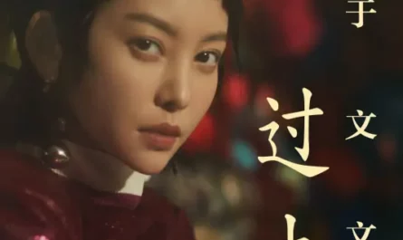 The Past过去(Guo Qu) Ash Is Purest White OST By Kelly Yu Wenwen于文文