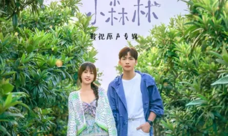 Sunny Day After Rain雨过天晴(Yu Guo Tian Qing) A Romance of the Little Forest OST By Esther Yu Shuxin虞书欣