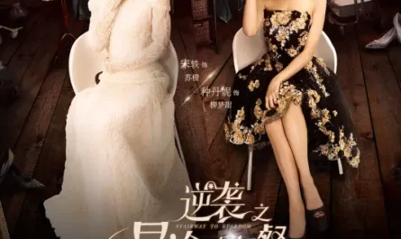 Stupid Like Me愚笨如我(Yu Ben Ru Wo) Stairway to Stardom OST By Li Qi李琦