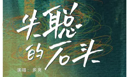 Deaf Stone失聪的石头(Shi Cong De Shi Tou) Hidden Edge OST By Duo Liang多亮
