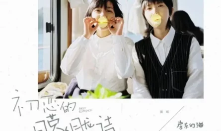 The Hazy Poem of First Love初恋的朦胧诗(Chu Lian De Meng Long Shi) First Romance OST By The Landlord's Cat房东的猫