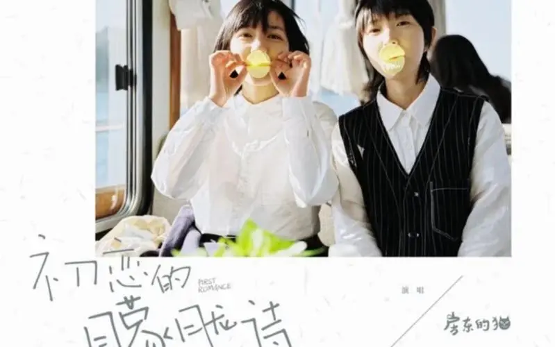 The Hazy Poem of First Love初恋的朦胧诗(Chu Lian De Meng Long Shi) First Romance OST By The Landlord's Cat房东的猫
