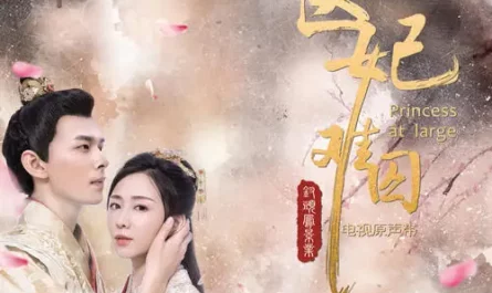 The Five Flavored Berry五味子(Wu Wei Zi) Princess at Large OST By Dong Zhen董真