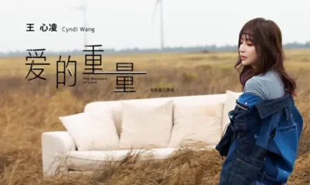 Weight of Love爱的重量(Ai De Zhong Liang) As Long As You Love Me OST By Cyndi Wang王心凌