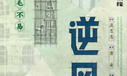 Against The Wind逆风(Ni Feng) The Great Craftsman OST By Mao Buyi毛不易