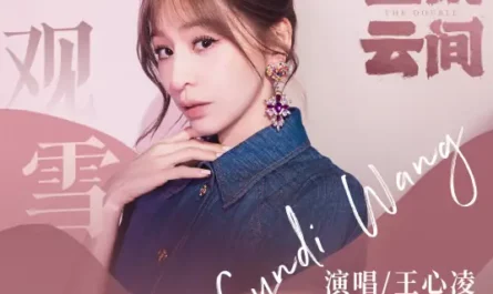 Watch the Snow观雪(Guan Xue) The Double OST By Cyndi Wang王心凌