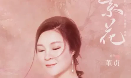 Flourishing Blossoms繁花(Fan Hua) Eternal Love OST By Dong Zhen董真