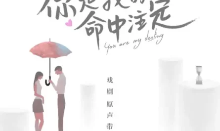 You Are My Destiny命中注定(Ming Zhong Zhu Ding) You are my Destiny OST By Della Ding Dang丁当