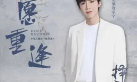 Wish to Reunite愿重逢(Yuan Chong Feng) Choice Husband OST By Liu Yuning刘宇宁