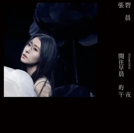 Midnight Bound For Morning开往早晨的午夜(Kai Wang Zao Chen De Wu Ye) By Zhang Bichen张碧晨