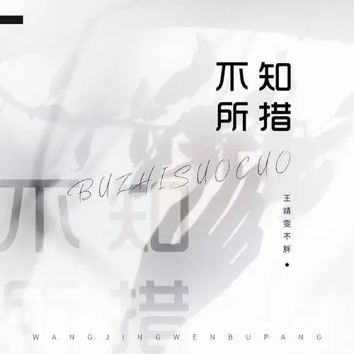 Don't Know What To Do不知所措(Bu Zhi Suo Cuo) By Wang Jingwen王靖雯