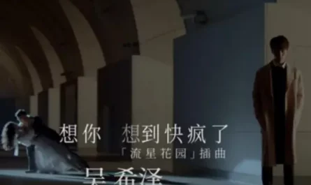 Going Crazy Thinking About You想你想到快疯了(Xiang Ni Xiang Dao Kuai Feng Le) Meteor Garden OST By Caesar Wu Xize吴希泽 & Clover Kao高隽雅