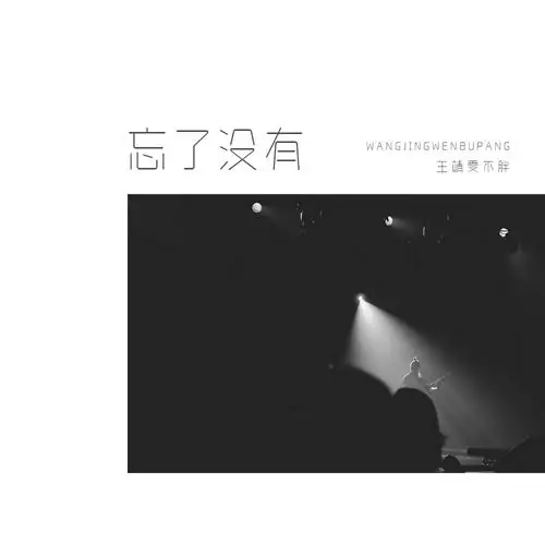 Forgotten Or Not忘了没有(Wang Le Mei You) By Wang Jingwen王靖雯