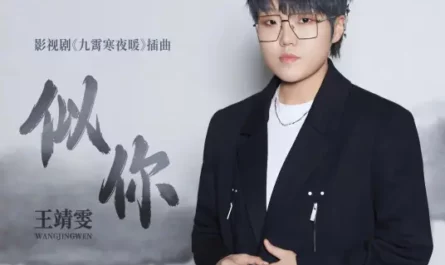 Like You似你(Si Ni) Warm On A Cold Night OST By Wang Jingwen王靖雯