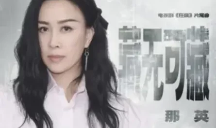 Nowhere To Hide藏无可藏(Cang Wu Ke Cang) The Knockout OST By Na Ying那英