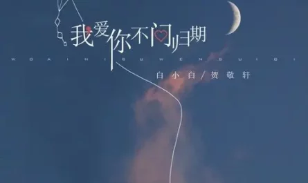 Never Ask For Return Date我爱你不问归期(Wo Ai Ni Bu Wen Gui Qi) By Bai Xiaobai白小白 & Coco He贺敬轩