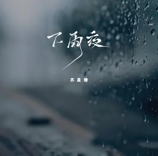 Rainy Night下雨夜(Xia Yu Ye) By Su Xing Jie苏星婕