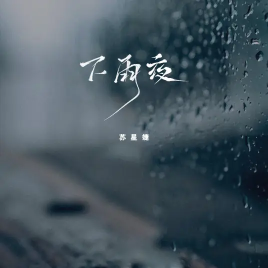 Rainy Night下雨夜(Xia Yu Ye) By Su Xing Jie苏星婕