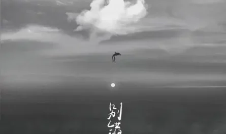 Don't Slip By别错过(Bie Cuo Guo) By Cheng Jiajia程佳佳