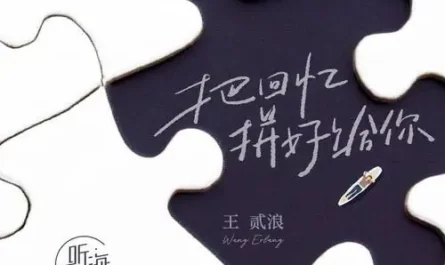 I Put Together Memories for You把回忆拼好给你(Ba Hui Yi Pin Hao Gei Ni) By Wang Erlang王贰浪