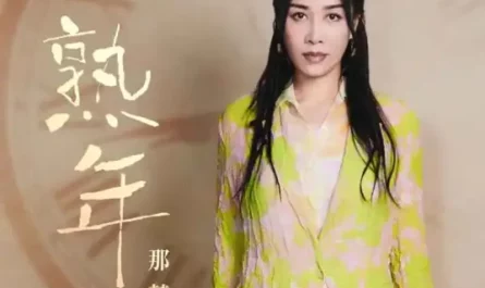 In Later Years熟年(Shu Nian) In Later Years OST By Na Ying那英