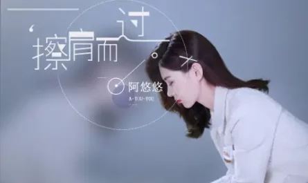 Brush Past You In A Lifetime一生与你擦肩而过(Yi Sheng Yu Ni Ca Jian Er Guo) By A You You阿悠悠