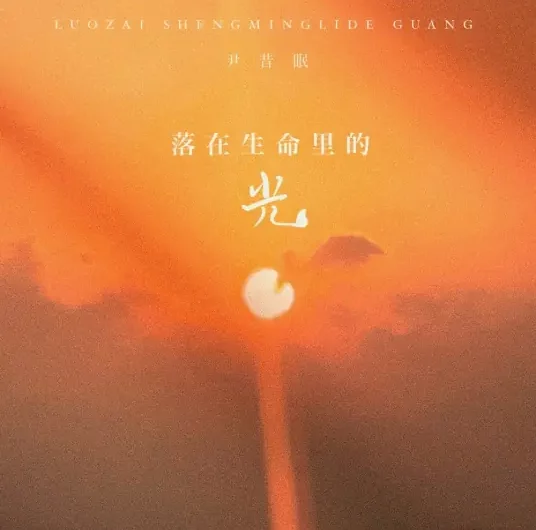 Light That Fell Into My Life落在生命里的光(Luo Zai Sheng Ming Li De Guang) By Yin Ximian尹昔眠