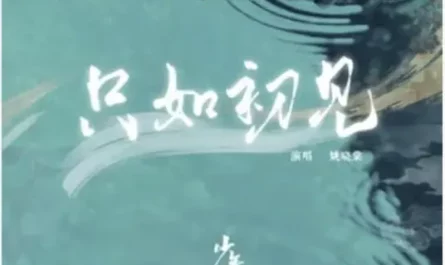 Like Our First Meeting只如初见(Zhi Ru Chu Jian) Dashing Youth OST By Yao Xiaotang姚晓棠