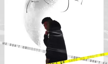 Don't Leave If You Love Me爱我就别走了(Ai Wo Jiu Bie Zou Le) By Bai Xiaobai白小白