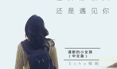 Still Met You In Such A Big World世界这么大还是遇见你(Shi Jie Zhe Me Da Hai Shi Yu Jian Ni) By Echo Cheng Xiang程响