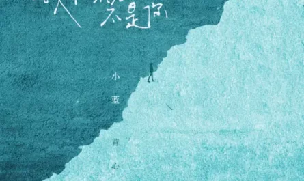 I'm Afraid It's Not You Who Is Coming我怕来者不是你(Wo Pa Lai Zhe Bu Shi Ni) By Xiao Lan Bei Xin小蓝背心
