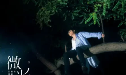 Glimmer微光(Wei Guang) My Sunshine OST By Hua Chenyu华晨宇