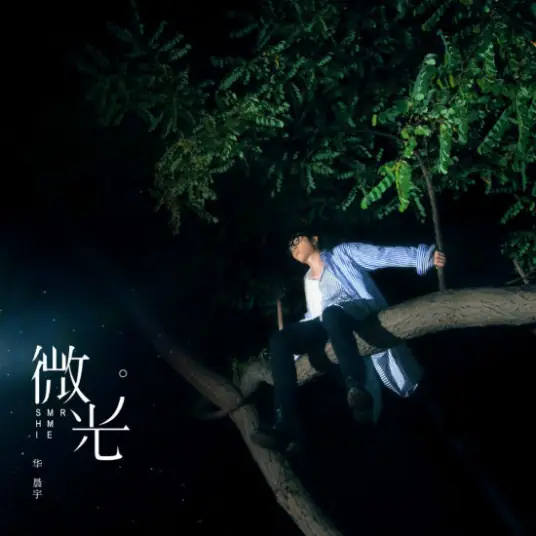 Glimmer微光(Wei Guang) My Sunshine OST By Hua Chenyu华晨宇