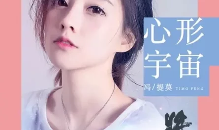 Heart Shaped Universe心形宇宙(Xin Xing Yu Zhou) Ever Night OST By Feng Timo冯提莫