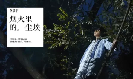 Ashes From Fireworks烟火里的尘埃(Yan Huo Li De Chen Ai) By Hua Chenyu华晨宇