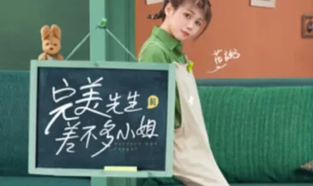 Mr.Perfect and Miss Almost完美先生和差不多小姐(Wan Mei Xiansheng He Cha Bu Duo Xiao Jie) Perfect and Casual OST By Hua Zhou花粥