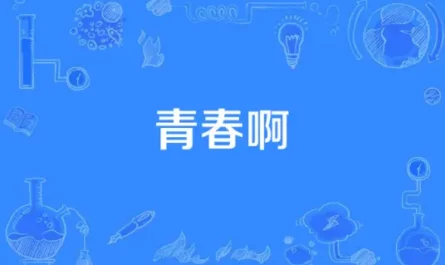 Ah Youth青春啊(Qing Chun A) So Young OST By Li Qi李琦