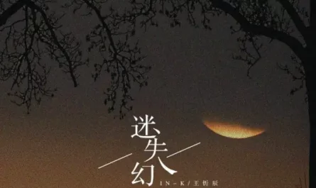 Lost In Dreamland迷失幻境(Mi Shi Huan Jing) By Wang Xinchen王忻辰 & IN-K