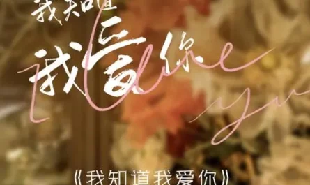 I Know I Love You我知道我爱你(Wo Zhi Dao Wo Ai Ni) I Know I Love You OST By Han Hong韩红