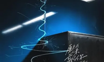 Turns Out I Never Forgot You原来我从未忘记你(Yuan Lai Wo Cong Wei Wang Ji Ni) By Du Xuanda杜宣达