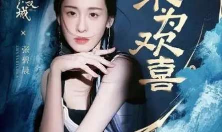 Not for Joy不为欢喜(Bu Wei Huan Xi) Mirror: A Tale of Twin Cities OST By Zhang Bichen张碧晨
