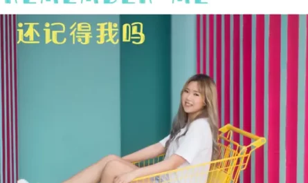 Do You Still Remember Me还记得我吗(Hai Ji De Wo Ma) By Liu Zengtong刘增瞳