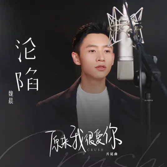 Fall沦陷(Lun Xian) Crush OST By Vision Wei Chen魏晨