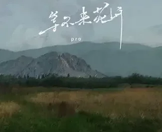 Can't Wait For Flowers To Bloom等不来花开(Deng Bu Lai Hua Kai) By Pro