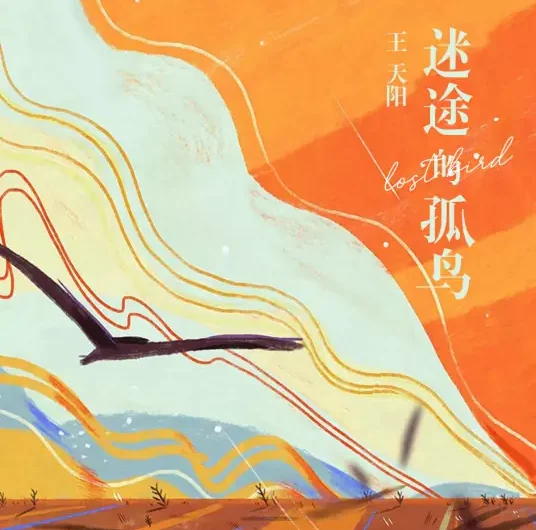 Lost Lonely Bird迷途的孤鸟(Mi Tu De Gu Niao) By Wang Tianyang王天阳
