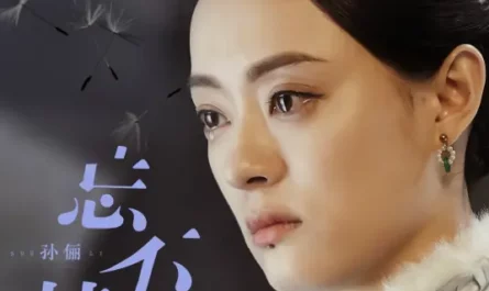 Can't Forget忘不掉(Wang Bu Diao) Nothing Gold Can Stay OST By Susan Sun Li孙俪