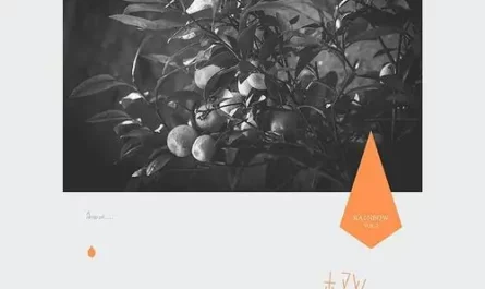Memorializing记念(Ji Nian) By Lei Yuxin雷雨心 & RAiNBOW Plan/RAiNBOW计划