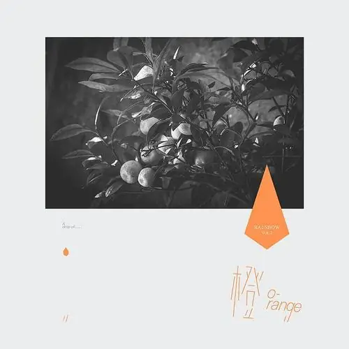 Memorializing记念(Ji Nian) By Lei Yuxin雷雨心 & RAiNBOW Plan/RAiNBOW计划
