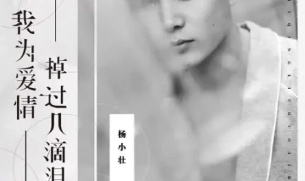 I've Shed Tears For Love我为爱情掉过几滴泪(Wo Wei Ai Qing Diao Guo Ji Di Lei) By Yang Xiao Zhuang杨小壮