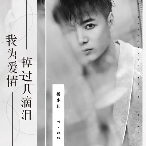 I've Shed Tears For Love我为爱情掉过几滴泪(Wo Wei Ai Qing Diao Guo Ji Di Lei) By Yang Xiao Zhuang杨小壮